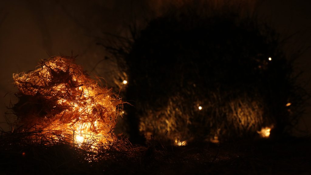 Bienal_Arte_Lumínico_2